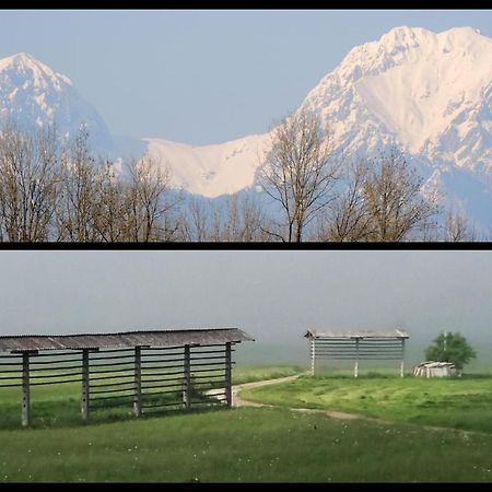 Mamut Stay Kamnik Kültér fotó